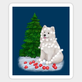 White fluffy Samoyed dog in a Christmas setting Magnet